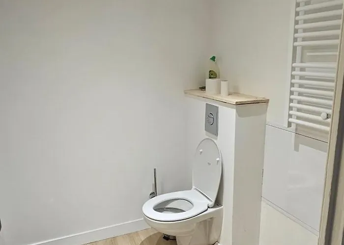 T2 Ultra Centre 50m Carres Appartement Poitiers